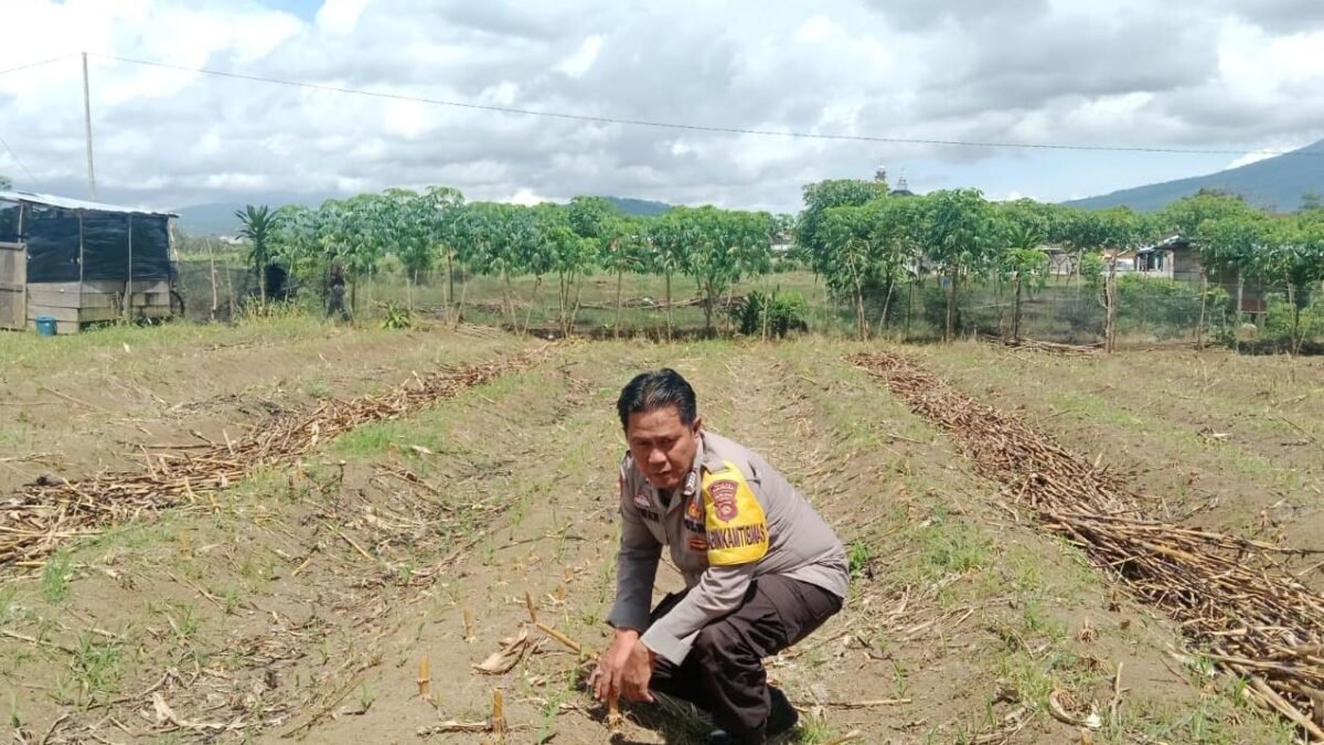 Monitoring Pertanian Jadi Komitmen Polres Pagar Alam Dukung Indonesia Emas 2045
