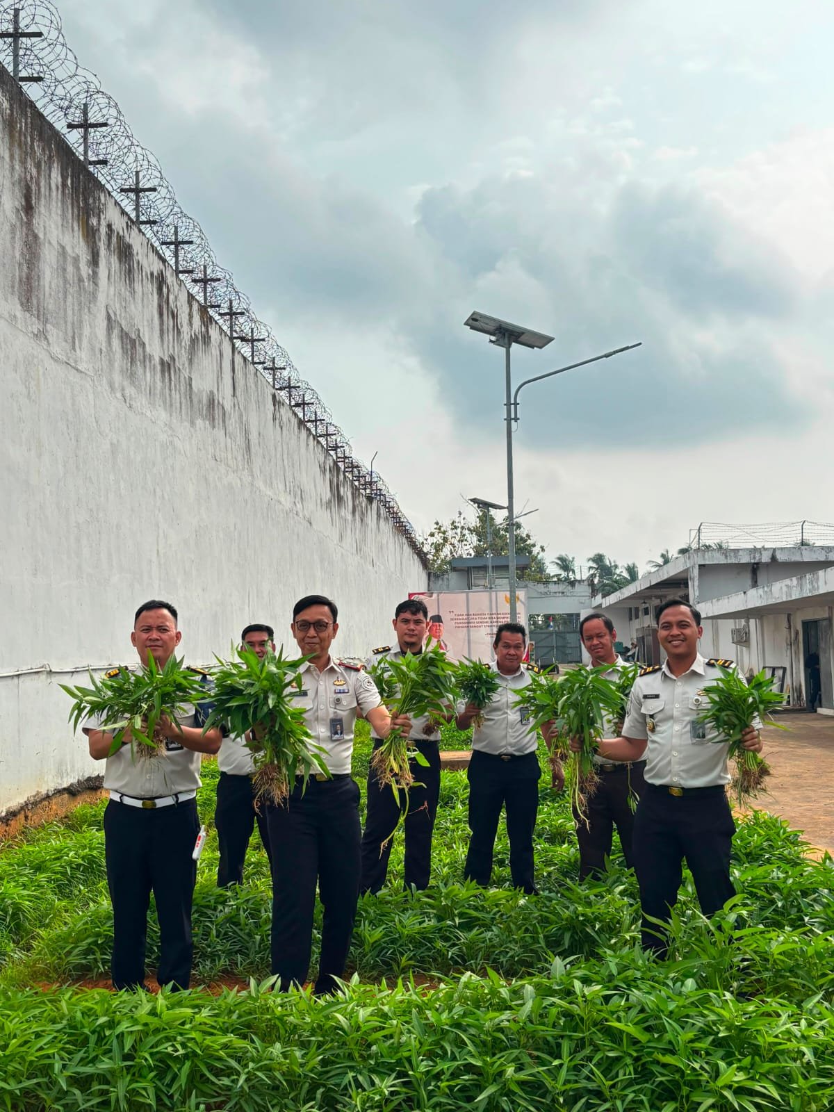 Panen Kangkung Capai 72,2 Kilogram, Rutan Kelas I Palembang Perkuat Program Ketahanan Pangan Nasional