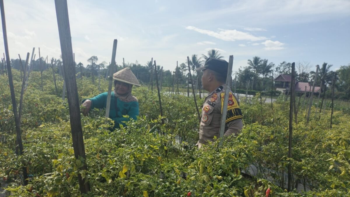 Polsek Pagaralam Utara Dukung Ketahanan Pangan Lewat Pekarangan Produktif