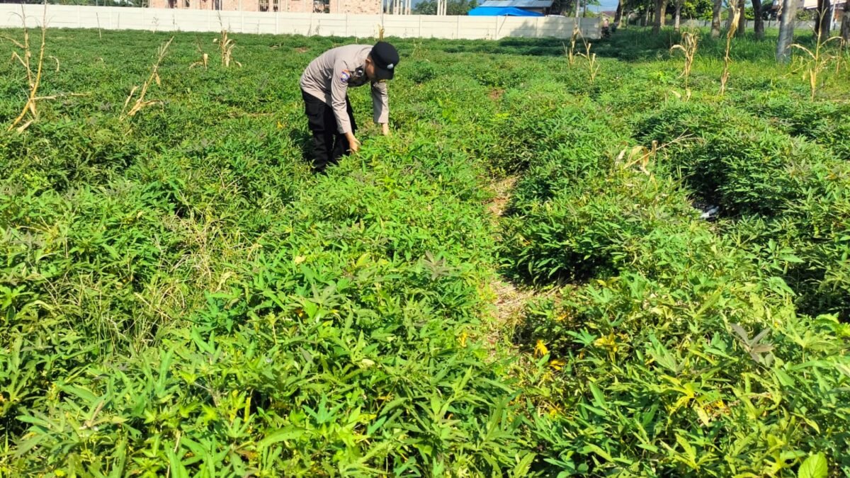 Polri Dukung Peningkatan Ekonomi Warga Melalui Pekarangan Produktif