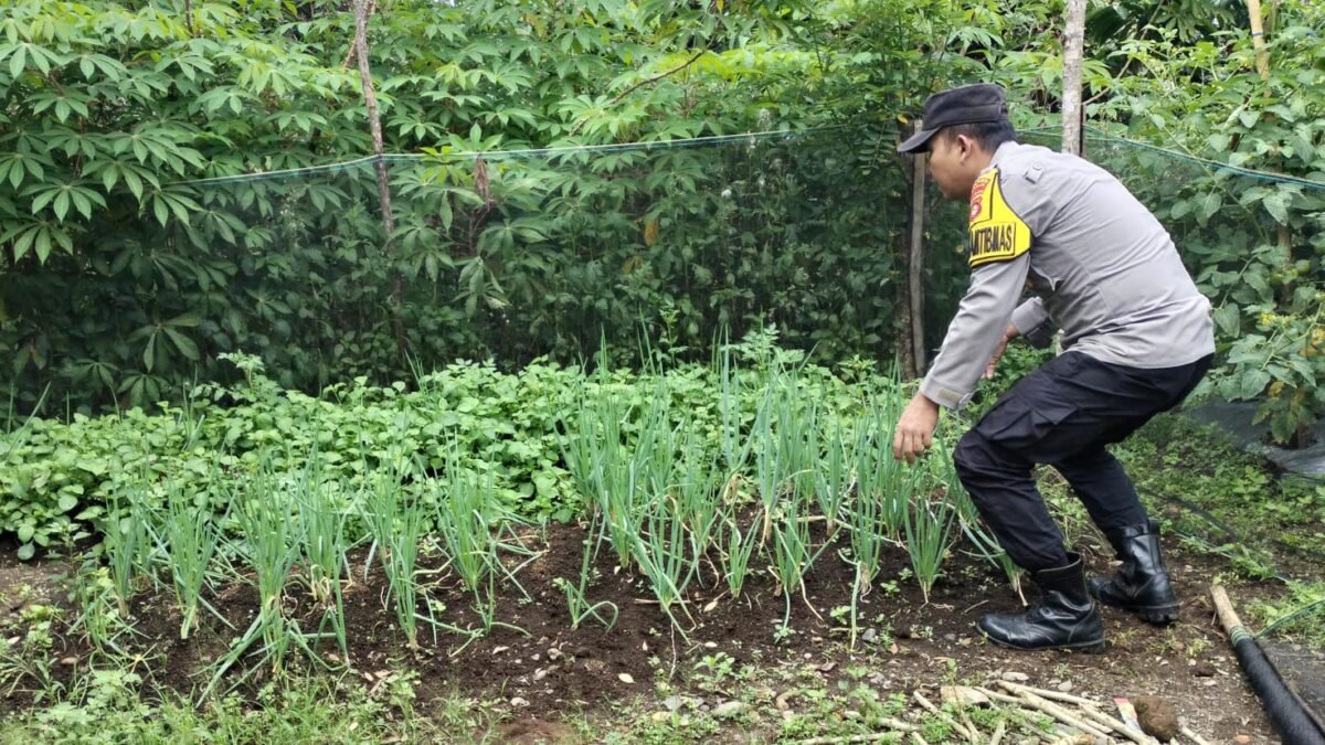 Kapolres Pagar Alam Dorong Pemanfaatan Lahan Pekarangan Secara Produktif