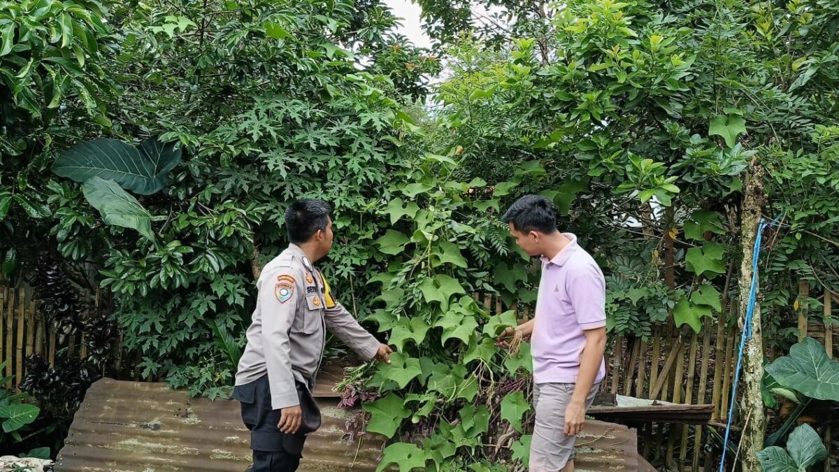 Polri Hadir Dukung Ketahanan Pangan Melalui Monitoring Lahan Pekarangan
