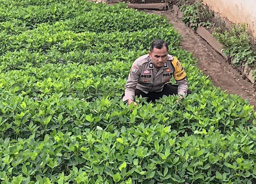 Polisi Pantau Pekarangan Bergizi untuk Dukung Ketahanan Pangan Nasional