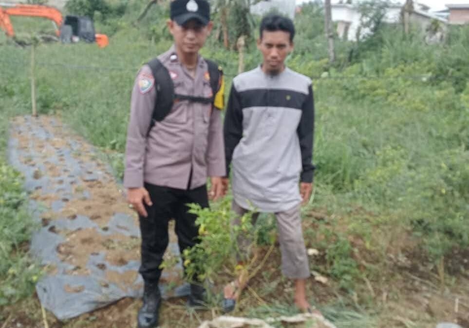 Ketahanan Pangan Dimulai dari Pekarangan, Polres Pagar Alam Berikan Pendampingan