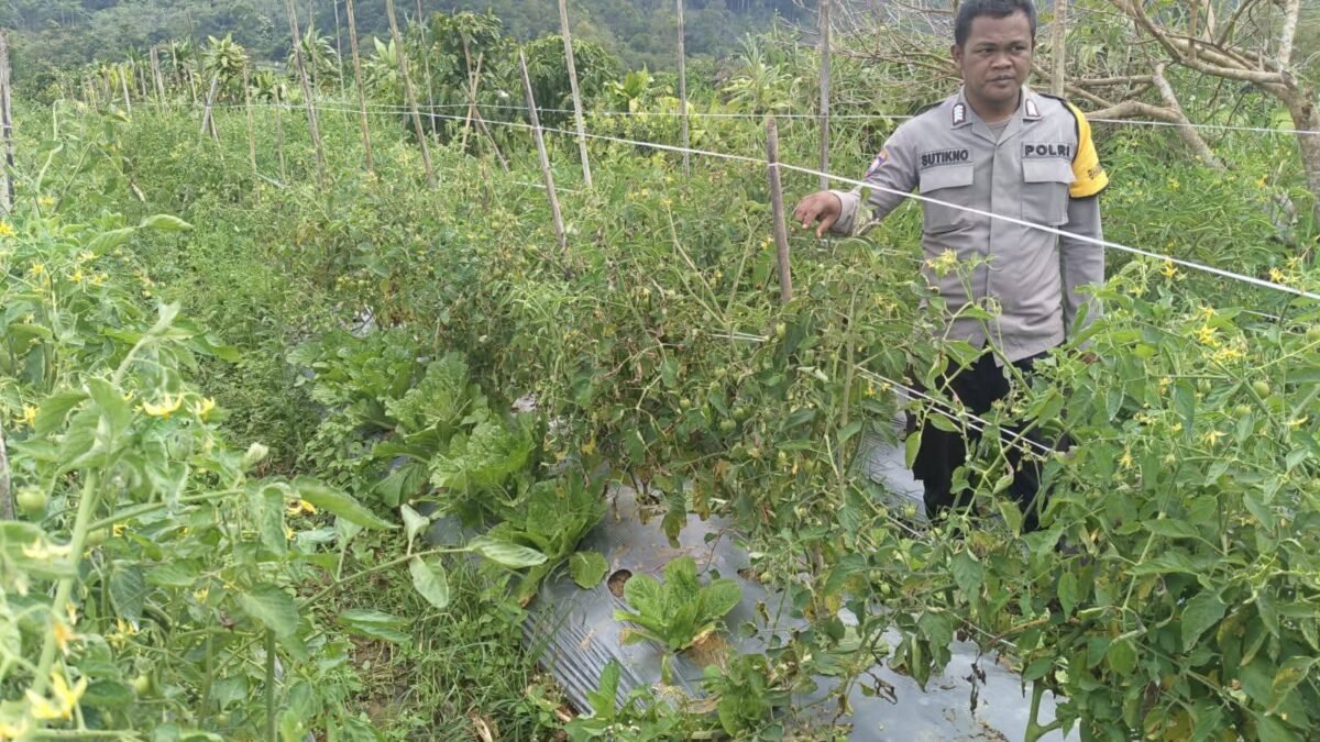 Polres Pagar Alam Optimalkan Lahan Pertanian Warga untuk Ketahanan Pangan