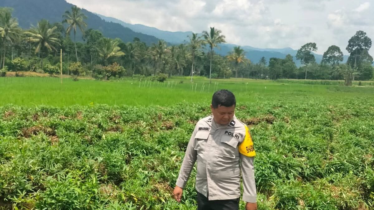 Polsek Pagar Alam Selatan Berikan Pendampingan Rutin untuk Pekarangan Bergizi Warga