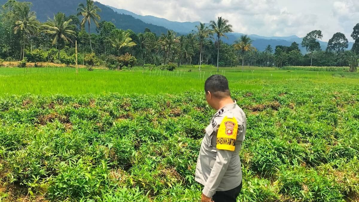 Bhabinkamtibmas Pagar Alam Selatan Konsisten Dukung Ketahanan Pangan Masyarakat