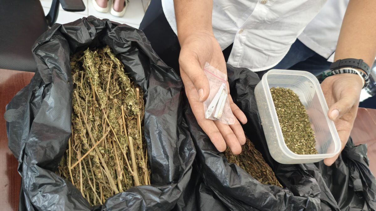 Satres Narkoba Pagar Alam Sikat Peredaran Gelap Sabu dan Ganja