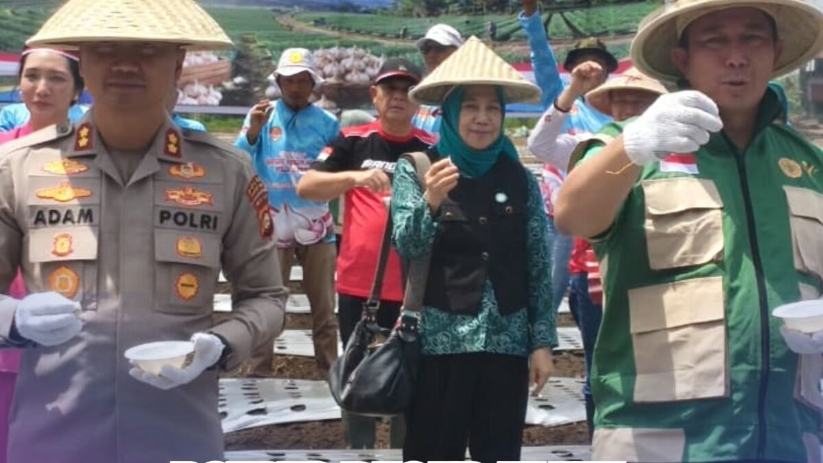 Polres Pagar Alam Bersama Petani Tingkatkan Produksi Bawang Putih