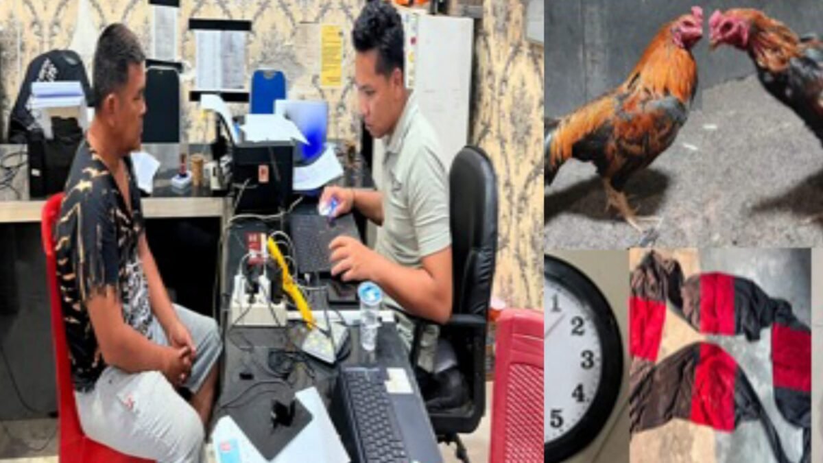 Polisi Amankan Tiga Ekor Ayam dan Pemilik Lahan dalam Penggerebekan Perjudian di OKU Timur