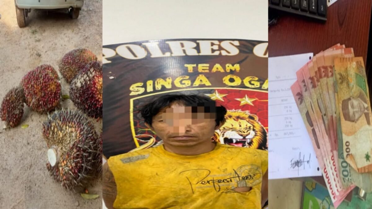 Petugas Polres OKU mengamankan pelaku pencurian sawit di Lubuk Batang