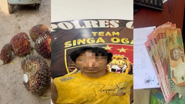 Petugas Polres OKU mengamankan pelaku pencurian sawit di Lubuk Batang