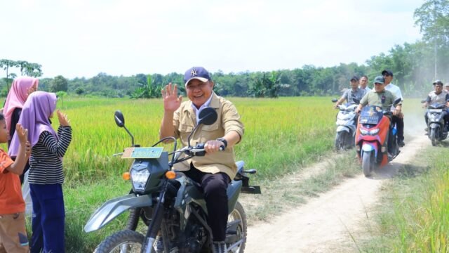 Gubernur Herman Deru saat panen raya, menunjukkan keberhasilan produksi pangan Sumsel