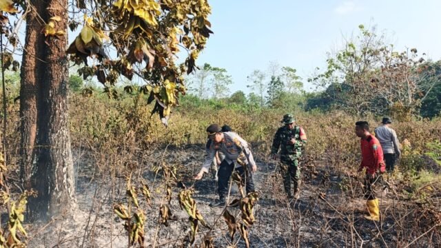 Petugas gabungan dan warga memadamkan karhutla di Baturaja Timur, OKU