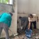 Ribuan umat Islam di Sumatera Selatan serentak menggelar Gerakan Bersih-Bersih Masjid (Geber Mas) di 538 titik.