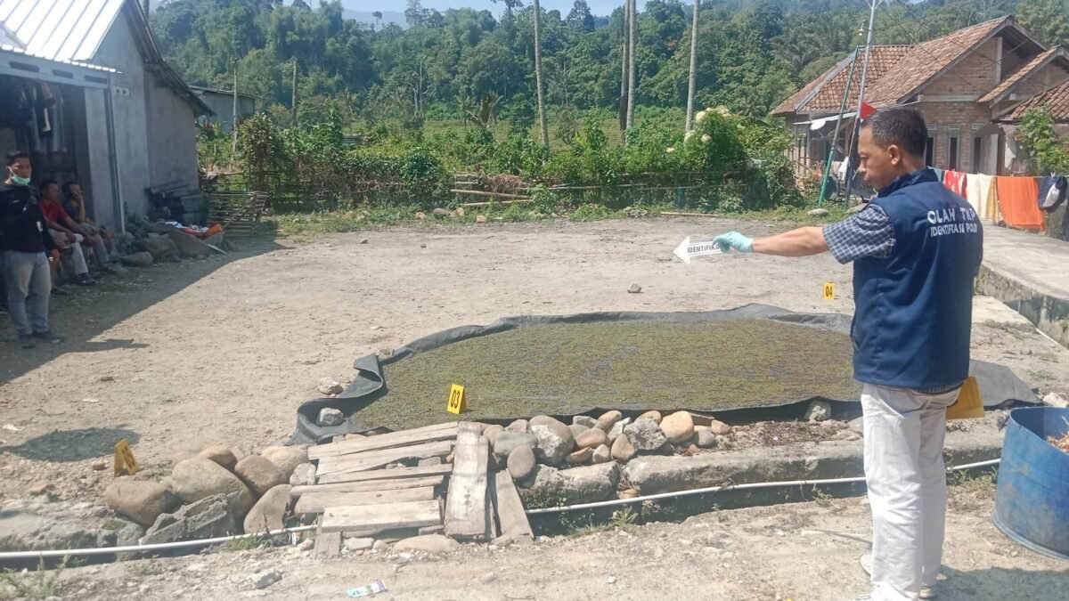 Ilustrasi penusukan Plt KUA Pulau Beringin di OKU Selatan yang menyebabkan korban meninggal dunia