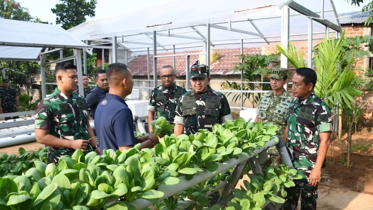 Danrem 044/Gapo Brigjen TNI Khabib Mahfud panen hasil urban farming Gapo Farm di Palembang.