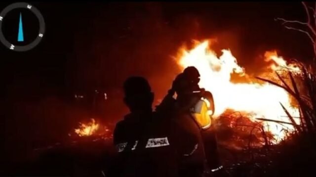 Petugas Polda Sumsel meninjau lokasi kasus karhutla di Sumatera Selatan