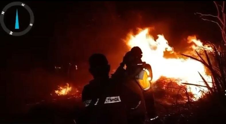 Petugas Polda Sumsel meninjau lokasi kasus karhutla di Sumatera Selatan