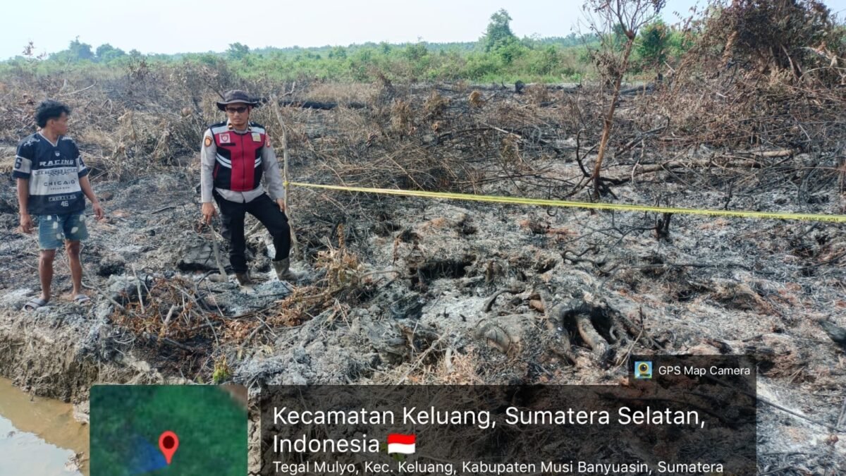Ilustrasi lahan kelapa sawit yang terbakar di Musi Banyuasin, terkait kasus mahasiswa tersangka kebakaran lahan sawit Muba.