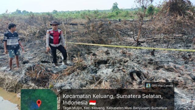 Ilustrasi lahan kelapa sawit yang terbakar di Musi Banyuasin, terkait kasus mahasiswa tersangka kebakaran lahan sawit Muba.