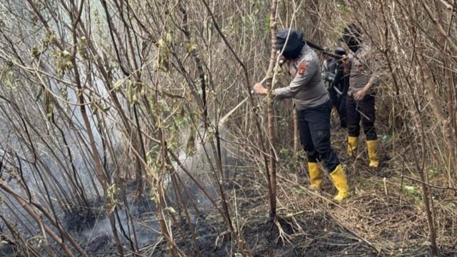 Personel Subsatgas Tulung Selapan padamkan karhutla di lahan gambut PT Samora OKI