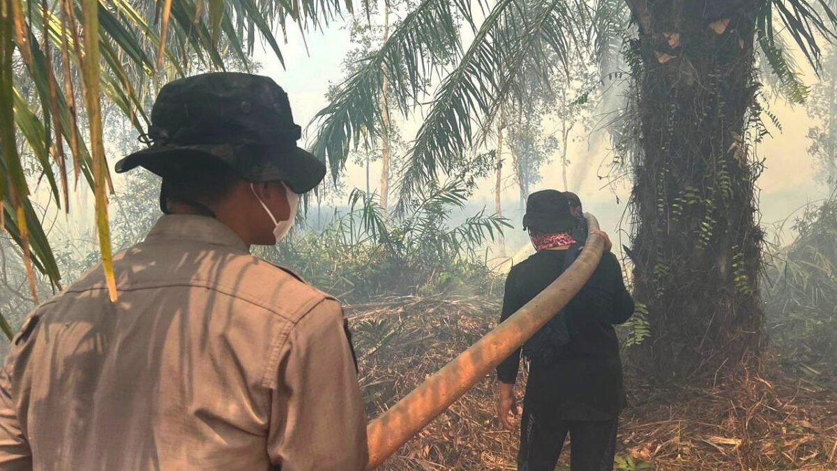 Tim gabungan memadamkan karhutla di areal PT MBJ OKI