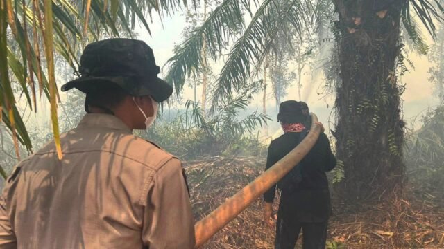 Tim gabungan memadamkan karhutla di areal PT MBJ OKI