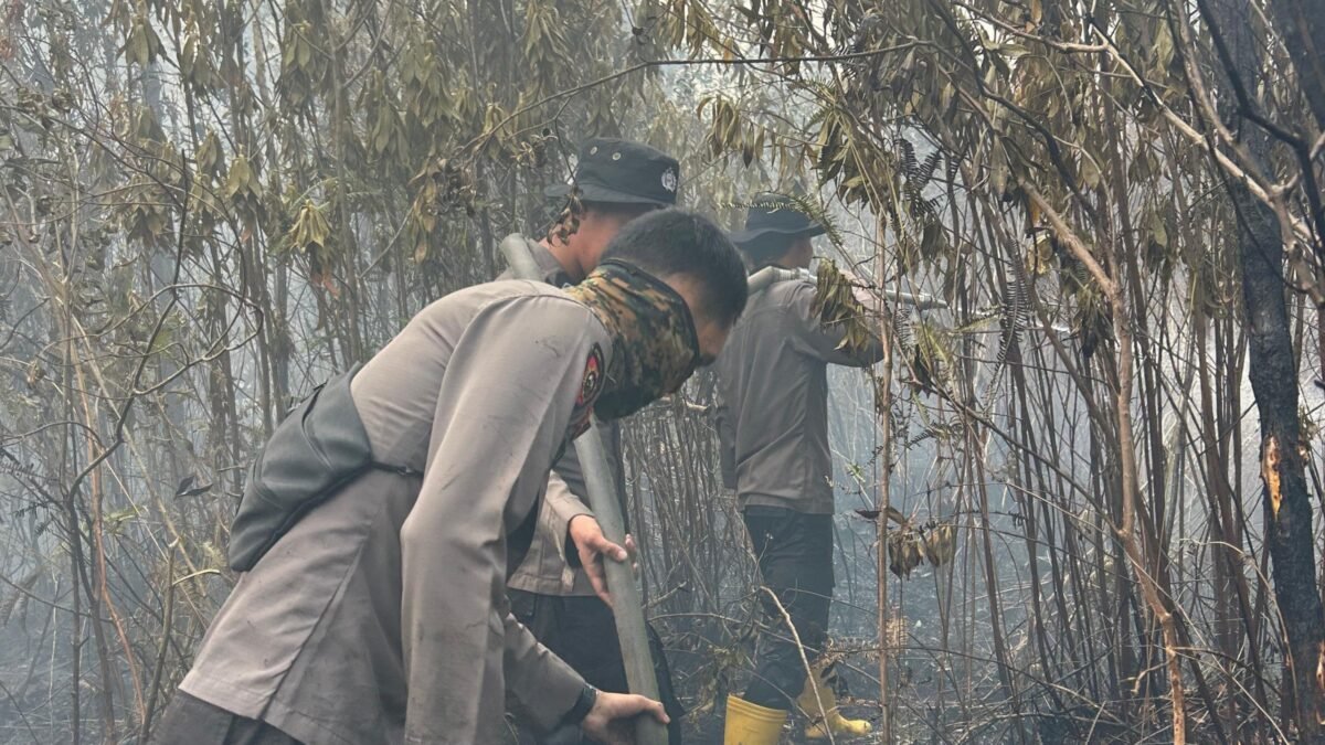 Personel Polda Sumsel memadamkan karhutla di OKI