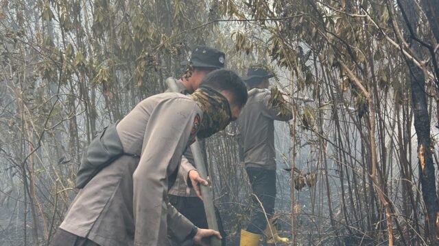 Personel Polda Sumsel memadamkan karhutla di OKI