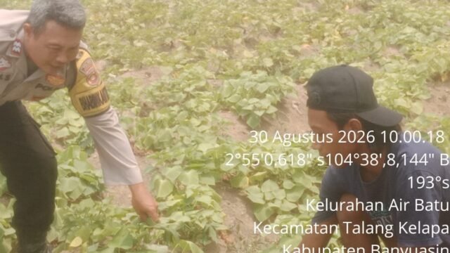 Bhabinkamtibmas Polsek Talang Kelapa dampingi warga kembangkan Pekarangan Pangan Bergizi (P2B) di Banyuasin.