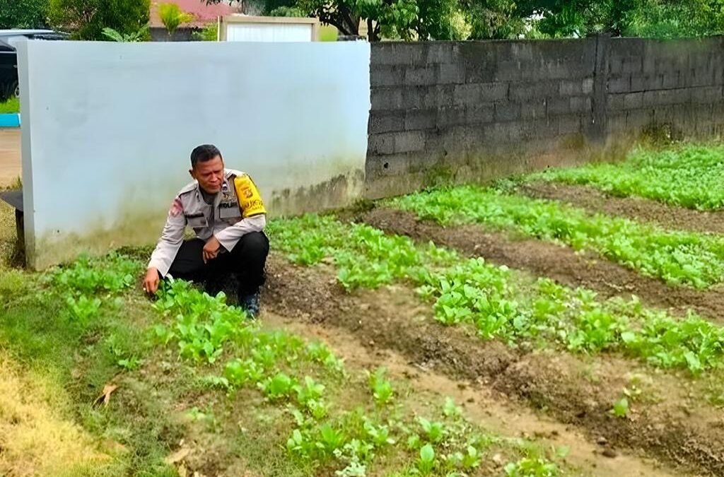 Dukung Ketahanan Pangan, Polsek Sako Palembang Manfaatkan Lahan untuk Kebun Sayur