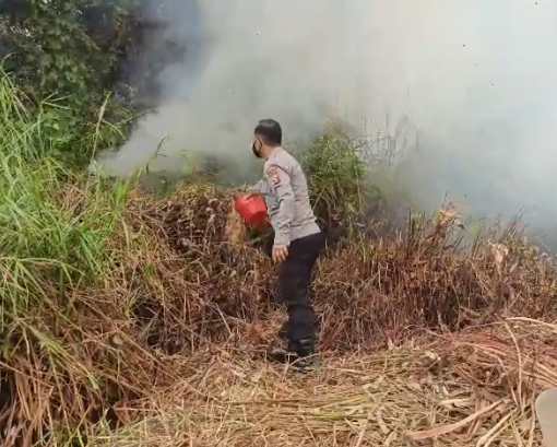 Respon Cepat Karhutla, Personel Polsek Sako Padamkan Bara Api Menggunakan Ember