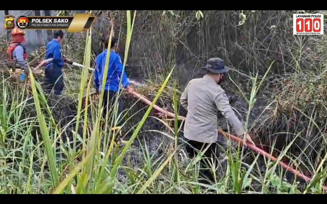 Cegah Api Meluas ke Permukiman, Polsek Sako dan Tim Gabungan Padamkan Kebakaran Lahan