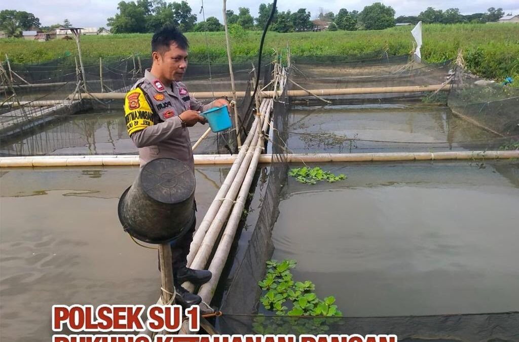 Dukung Program Ketahanan Pangan, Polsek SU I Budidayakan 3.000 Ikan Patin di 15 Ulu