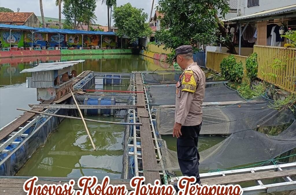 Inovasi Kolam Jaring Terapung, Polrestabes Palembang Dukung Ketahanan Pangan Lewat Budidaya Lele