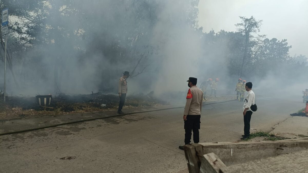 Karhutla di Talang Kelapa Berhasil Dipadamkan, Tidak Ada Korban Jiwa