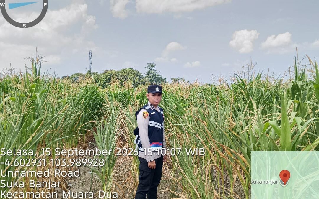 Dukung Swasembada Pangan, Polsek Muaradua Pantau Perkembangan Tanaman Jagung di Desa Suka Banjar