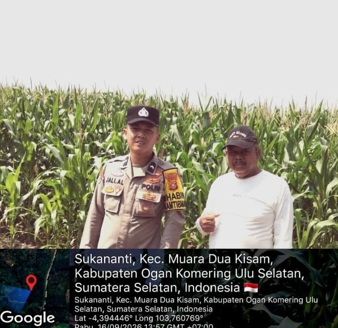 Kegiatan Bhabinkamtibmas Polsek Muaradua Kisam Cek Lahan Jagung, Dukung Program Pemerintah Wujudkan Swasembada Pangan