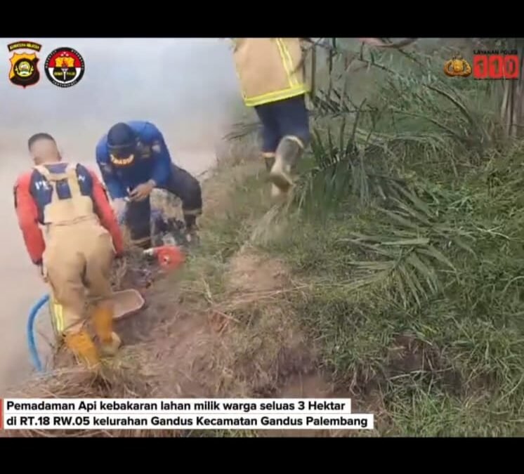 Cegah Api Meluas, Polsek Gandus dan Stakeholder Padamkan Karhutla di Lahan Warga