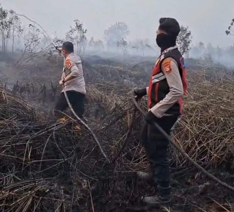 Lahan 10 Hektare Terbakar di Sematang Borang, Polisi Kerahkan Tim Darat dan Helikopter Water Bombing