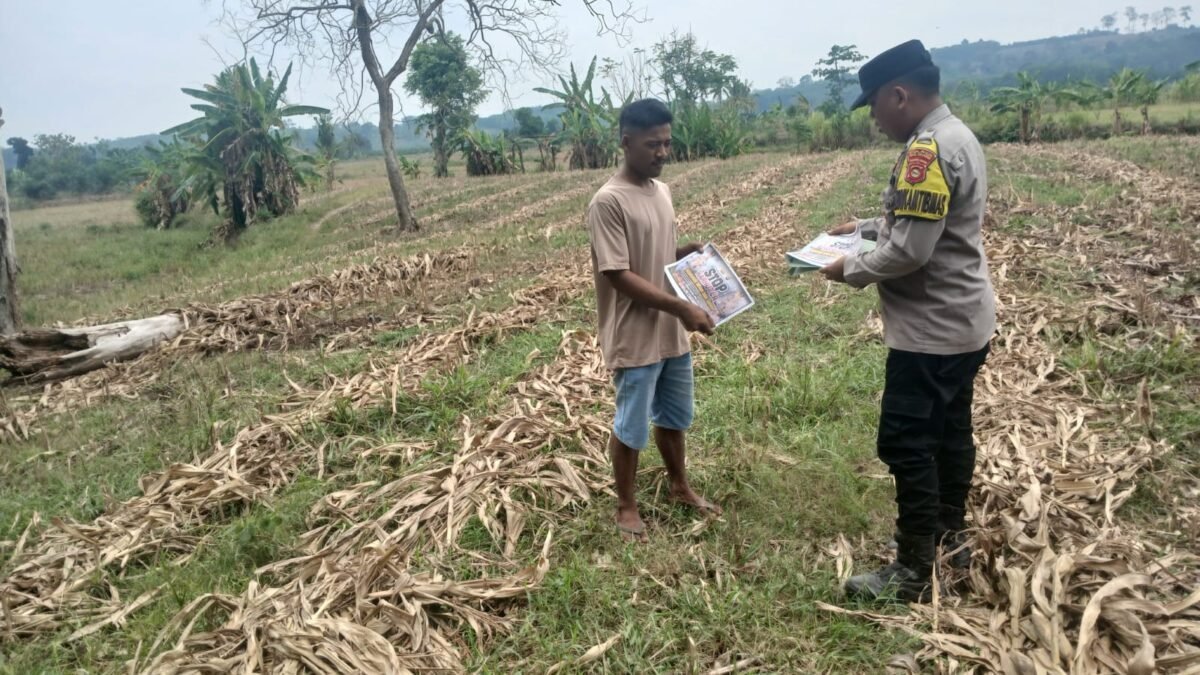 Sinergi Polri dan Masyarakat, Polsek Simpang Kawal Persiapan Lahan Jagung di Desa Bandar