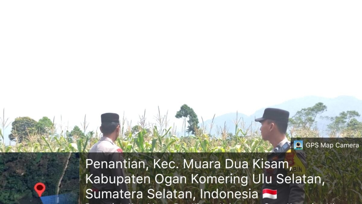 Polri Dukung Ketahanan Pangan, Bhabinkamtibmas Pantau Lahan Jagung di Penantian