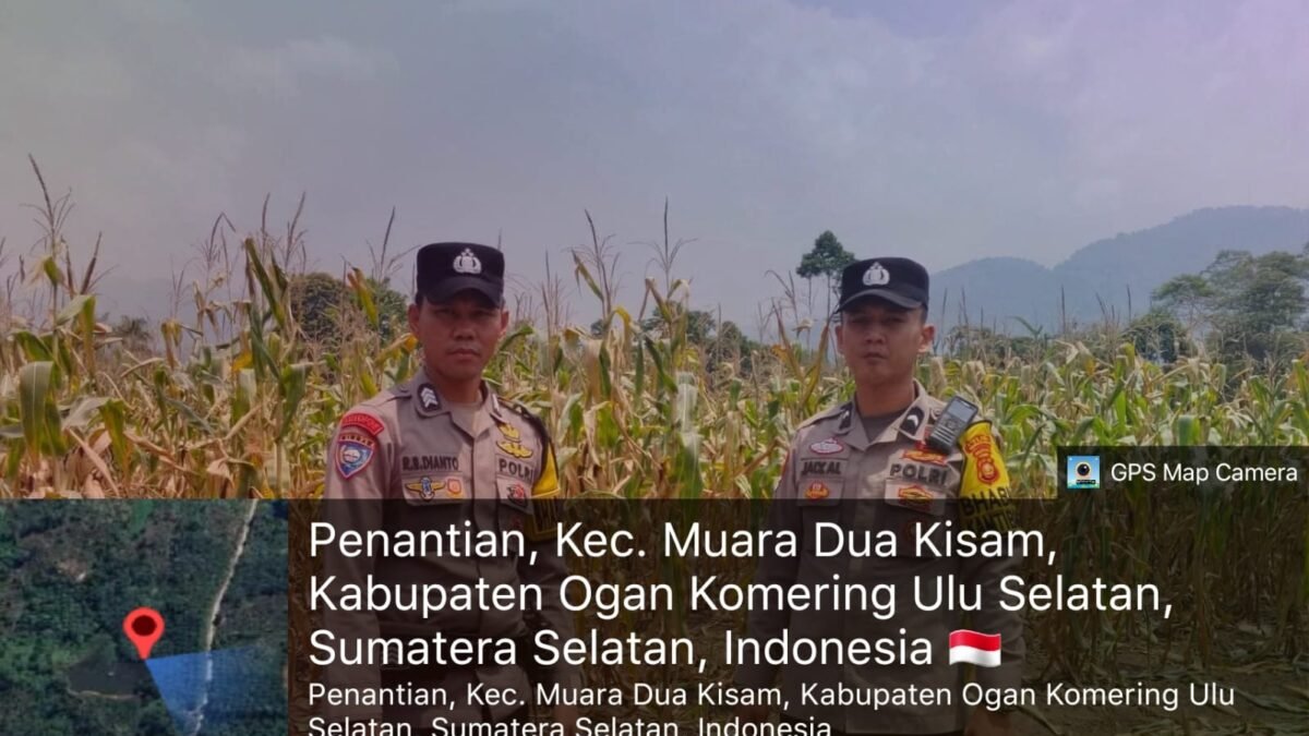 Bhabinkamtibmas Hadir di Tengah Petani, Pantau Perkembangan Tanaman Jagung di Desa Penantian