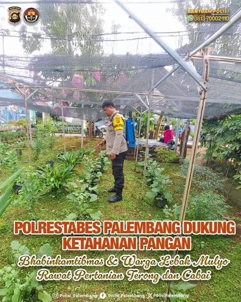 Sinergi Polisi dan Warga Lebak Mulyo, Rawat Tanaman Terong dan Cabai untuk Perkuat Ketahanan Pangan
