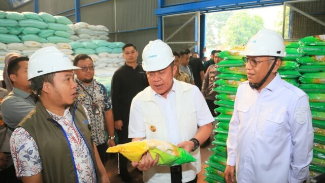 Gubernur Herman Deru meninjau gudang Bulog Lubuklinggau memastikan stok beras Sumsel aman