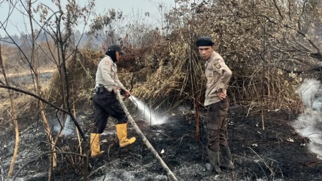 Petugas Satgas Karhutla Polda Sumsel memadamkan api di lahan gambut Ogan Ilir