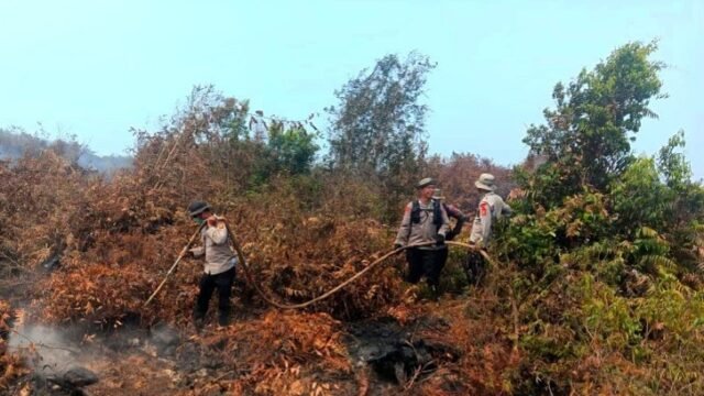 Personel Satbrimob Sumsel memadamkan bara karhutla di lahan gambut Gelumbang