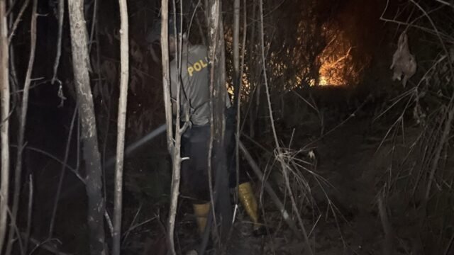 Petugas memadamkan api karhutla di lahan 4,5 hektare di Ogan Ilir, Sumatera Selatan