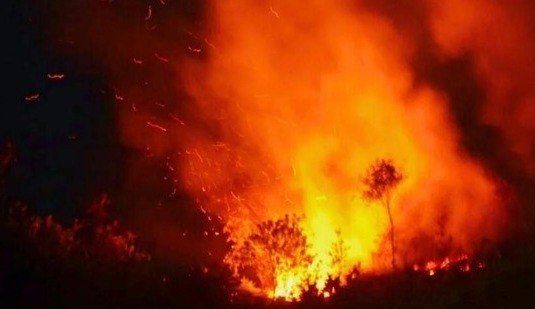 Petugas kepolisian melakukan penyelidikan di lokasi kebakaran sumur minyak ilegal di Musi Banyuasin yang menewaskan dua pekerja.